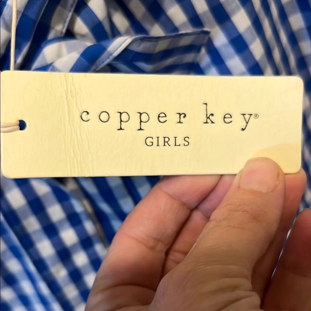 Copper Key Blue and White Gingham High Waist Paperbag Shorts